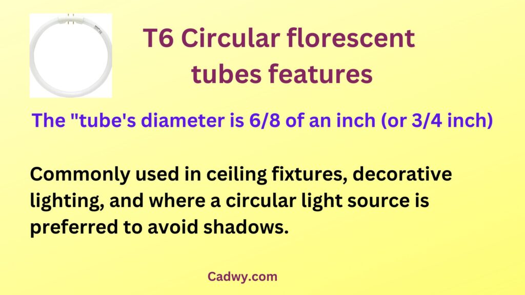 T6 Circular florescent tubes features